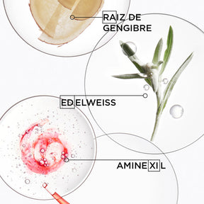 Kit Kérastase Lelê Burnier - Genesis + Elixir Ultime